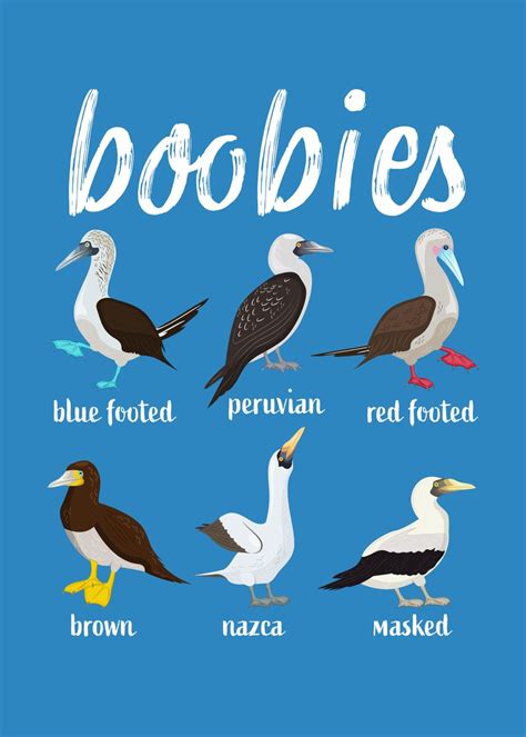 best boobie|The 10 Types of Boobs — Here's What to Know, According to Ob .